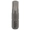 Bosch Security-Torx-Schrauberbit Extra-Hart, T40H, 25 mm, 2er-Pack